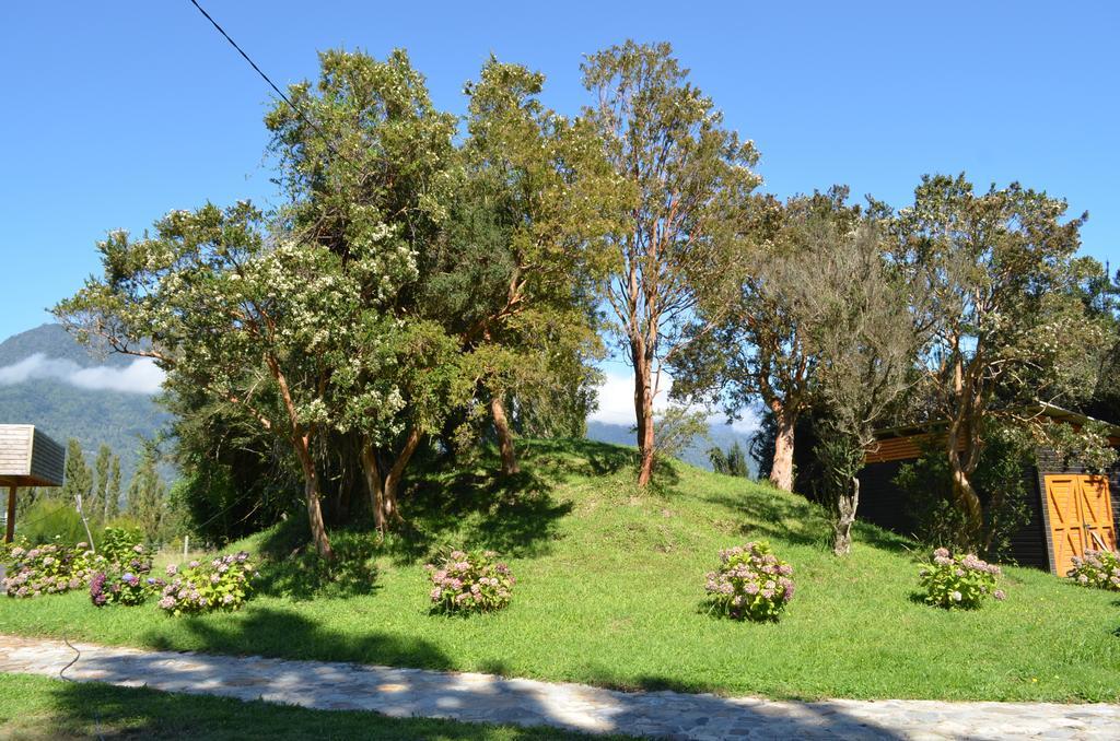 El Descanso Del Quijote Holiday home Rininahue